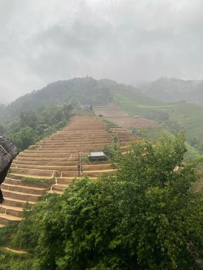 The image shows a lush, mountainous landscape in Pung Luong, Vietnam, with terraced rice paddies cascading down the hillsides. The sky is overcast and it appears to be raining, with visible raindrops in the foreground. The rice paddies are a mix of brown earth and some greenery, suggesting a stage in the cultivation cycle. Small, simple structures, likely sheds or small houses, are scattered among the terraces. Dense green trees and vegetation cover parts of the hills and the foreground. A portion of a thatched roof structure is visible on the left edge of the image, and a leafy green tree dominates the right foreground. Electrical poles and wires are also present, indicating some infrastructure in the area. The overall impression is one of natural beauty and agricultural activity in a wet, mountainous environment.