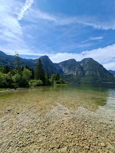 The image shows a clear, shallow lake with a rocky bottom in Obertraun, Austria, at the southern tip of Hallstätter See. The water is so transparent that the pebbles and stones on the lakebed are clearly visible. In the background, lush green trees and vegetation cover the lower slopes of imposing, mist-shrouded mountains. The sky above is a brilliant blue, dotted with wispy white clouds, suggesting a pleasant day. The scene evokes a sense of natural tranquility and the pristine beauty of the Austrian Alps. There are no people or animals visible in the image. The composition is dominated by the natural landscape.