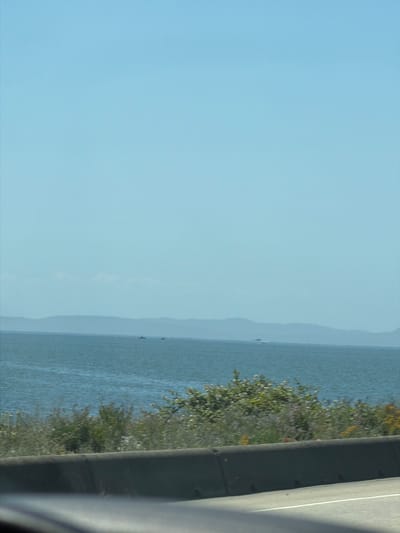 The image shows a view of the ocean from a roadside in Delta, Canada. The sky is clear and blue. The water is a deep blue, with some ripples and a few distant boats visible. Along the shoreline, there is a line of green vegetation with some purple and yellow wildflowers. A concrete barrier separates the road from the vegetation. The road itself is paved and has a white line marking the edge. The overall scene is serene and suggests a sunny day.