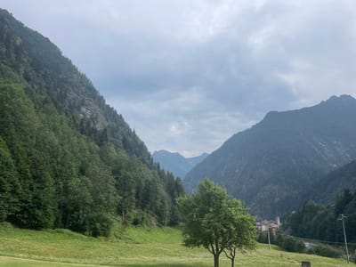 This image depicts a panoramic view of a lush green valley in Alagna Valsesia, Italy, under a cloudy sky. The left side of the frame is dominated by a steep, tree-covered mountainside. In the foreground, a vibrant green meadow dotted with small white flowers stretches across the valley floor. Two trees with full canopies stand in the middle ground, with one slightly larger than the other. Beyond the meadow, a small village is nestled at the base of a mountain, characterized by its stone buildings and a prominent church steeple. The background is filled with successive layers of majestic, hazy mountains fading into the distance. Two streetlights are visible on the right side of the image, and a person and a dog are present in the meadow, suggesting activity within this serene natural landscape.
