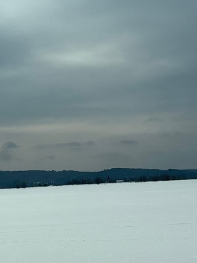 A winter landscape in Ustinovo, Russia, is depicted under an overcast, grey sky. The lower two-thirds of the image are dominated by an unbroken expanse of white snow, displaying minor surface undulations. A dark, dense tree line, forming a horizontal band, separates the snow-covered ground from the sky. Within or directly behind this tree line, several small, indistinct structures consistent with distant buildings are faintly visible. The sky occupies the upper third, composed of layered grey clouds, with a localized brighter area in the upper-central region. No persons or activities are present within the frame.