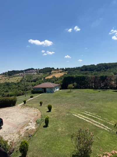 The image depicts a scenic view of a rural landscape under a clear blue sky with scattered white clouds. In the foreground, a well-maintained grassy area leads to a small, light blue house with a reddish-brown roof. A pathway made of interlocking pavers is visible to the left, with a dark-colored vehicle parked partially in frame. Several small, conical evergreen bushes are strategically placed around the property.
The middle ground features a dense line of tall trees, with a variety of foliage colors suggesting different species. Beyond the trees, the landscape rises into rolling hills covered in a mix of green trees and cultivated fields, some appearing to be dry or harvested. In the far distance, a cluster of white houses with red roofs are nestled on a hillside, overlooking the valley. A utility pole stands prominently in the mid-ground, near the house. The overall scene conveys a sense of tranquility and natural beauty, characteristic of the Termal region in Turkey.