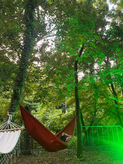 This vertical-format photograph depicts an outdoor scene within a densely treed environment, located in Sremski Karlovci Municipality, Serbia. The scene is illuminated by natural daylight filtering through a thick canopy of green leaves, supplemented by prominent artificial green light projecting onto tree trunks, foliage, and metal barrier structures.
In the lower-center, a single individual, appearing male, is observed reclining on their back within a red fabric hammock. Their head rests against the hammock's edge, with the left arm bent and the hand positioned behind the head. The individual is wearing a dark-colored t-shirt. The red hammock is suspended between two trees. To the immediate left, a portion of a second, white fabric hammock, featuring wooden spreader bars and rope netting, is partially visible.
The surrounding environment consists of numerous trees with dense green foliage. A prominent, thick tree trunk on the left side of the frame is heavily covered in ivy. Other tree trunks are also visible, including a slimmer one to which the red hammock is attached. The ground beneath the hammocks and trees is covered with scattered leaves and exposed earth. In the mid-ground and right side of the frame, a series of metallic crowd control barriers are visible, also illuminated by the artificial green light. Patches of bright white light, indicative of the sky, are discernible through gaps in the tree canopy.