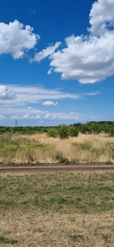 A vertical outdoor shot captures a clear blue sky filled with fluffy white clouds. Below, a line of trees borders the horizon. In the middle ground, tall, dry grass extends across the landscape. A dirt path runs through the foreground. In the mid-ground, a red marker stands out against the dry grass. A tall metal tower, likely for electricity transmission, is visible in the far distance on the left side of the image. The overall scene suggests a rural or undeveloped area.