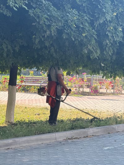 A person is trimming grass with a string trimmer in a park in Ungheni, Moldova. The person is wearing a striped shirt, dark pants, and a red jacket tied around their waist. They are also carrying a tool belt. The string trimmer is a gas-powered model with a red and white engine. The park has a paved walkway, a grassy area, and a flower bed with a bench. The trees are lush and green, and the sun is shining brightly.
