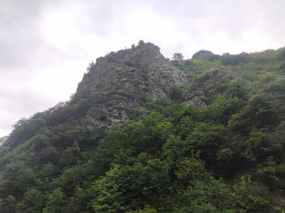 The image depicts a rocky, tree-covered mountainside under a cloudy sky. The foreground is dominated by dense green foliage, transitioning to rugged, grey rock faces further up the mountain. Patches of vegetation cling to the rocky outcrops. The sky is overcast and appears bright. The scene suggests a natural, mountainous landscape, possibly within the city of Tumanyan, Armenia, known for its rugged terrain and green valleys. There are no people or discernible man-made structures visible.