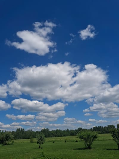 The image depicts a panoramic view of a rural landscape under a bright blue sky with scattered white clouds. In the foreground, a lush green meadow stretches out, dotted with several trees of varying sizes. The middle ground features a dense line of trees forming a forest edge, with more trees visible further in the distance, suggesting a wooded area. The sky occupies a significant portion of the image, filled with fluffy, cumulus clouds, some appearing brighter and more distinct than others, indicating sunny weather. The overall scene is tranquil and evokes a sense of nature and open space. The location is identified as Дубровенскі сельскі Савет, Belarus.