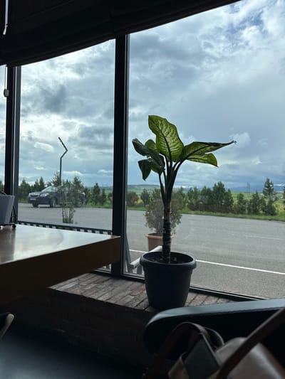 A medium, angled shot depicts a potted Dieffenbachia plant positioned in front of a window. The window frames a view of an outdoor scene, including a parking lot, trees, rolling hills, and a cloudy sky. A dark-colored vehicle and street lamp are visible through the reflection in the window. The location is Marneuli, Georgia, based on the visible elements. The composition includes interior architectural details, with a brick wall and parts of dark-toned furniture in the foreground.