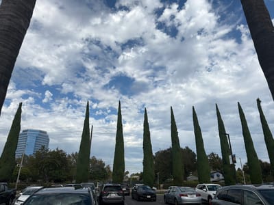 This image shows a parking lot in Garden Grove, California, United States of America. The scene is framed by two large palm trees on either side, and in the middle, a row of tall, slender cypress trees stand in front of a blue-tinted modern office building. The sky is filled with dramatic cumulus clouds. Several cars are parked in the lot, including a black Dodge Charger, a silver sedan, and a white SUV. The overall impression is a somewhat overcast day in an urban or suburban environment.