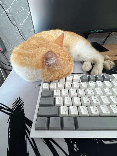 An orange and white cat is curled up asleep on a white keyboard. The keyboard is partially covered by a black and white mousepad. In the background, a computer monitor with the logo "TITAN ARMY" is visible. The scene appears to be an indoor workspace. There is no information in the image to indicate a location in Бигила, Russia.