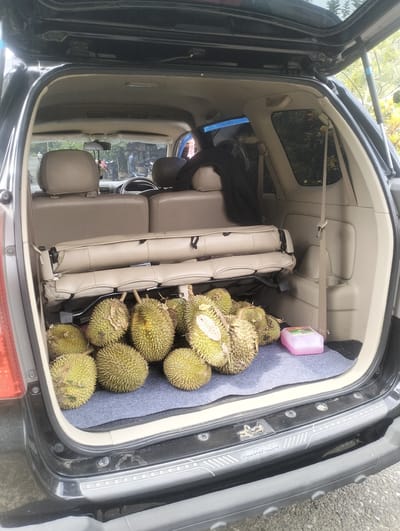 The image shows the open rear cargo area of a black Toyota Avanza parked outdoors, likely on a street in Cotmerbo, Indonesia. Inside the car's trunk, a pile of durian fruits is arranged on a grey mat. The fruits are green and spiky, characteristic of durian. Behind the durians, the folded-down seats of the vehicle are visible, upholstered in tan fabric. To the right of the durians, a small, pink plastic container is placed on the mat. The interior of the car appears to be standard for this model, with tan-colored upholstery and trim. The exterior of the car shows some wear and tear on the rear bumper. In the background, through the open trunk, a glimpse of a street scene can be seen, with motorcycles and people in what appears to be a market or roadside setting, typical of a Southeast Asian urban environment. The overall impression is of a vehicle used for transporting goods, specifically fruit, in a local Indonesian context.