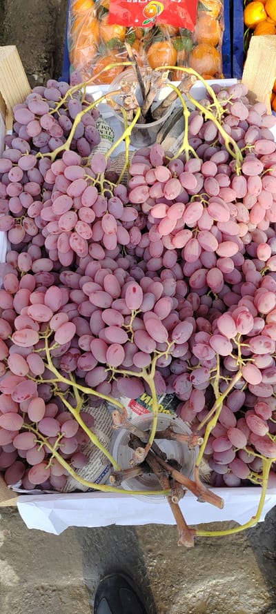 A close-up reveals a large quantity of pinkish-purple grapes packed in a white container. The grapes are arranged in bunches, their stems displaying a yellowish-green hue. Behind the grapes, a partially visible blue container holds oranges packaged in clear plastic. A small, transparent plastic cup holds grape stems. Below, a hint of a shoe and ground surface can be seen.