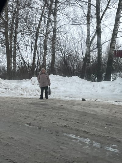 The image depicts an outdoor winter scene in Podmosh'ye, Russia, under an overcast sky. In the foreground, a slushy, dirt-covered road surface with visible tire tracks extends towards the viewer. Along the left and central midground, large, uneven piles of white snow are accumulated, indicating plowed areas.

An adult individual, appearing female, stands slightly to the left of the image center, positioned on the snow bank next to the road. She is dressed in a light brown or tan winter coat with a fur-trimmed hood, dark trousers, and dark footwear. A light-colored beanie or hat covers her head. She holds a dark-colored bag in her left hand, which hangs by her side. Her posture suggests she is standing still, facing generally towards the camera.

Behind the snow banks, a dense line of bare-branched trees, primarily identifiable as birches by their distinctive bark, forms the background. To the right of the individual, also on the snow bank, a dark, indistinct object, possibly a discarded item, rests on the snow. In the far background, to the right, a small segment of a red structure is visible through the trees. No other people or significant actions are observed.