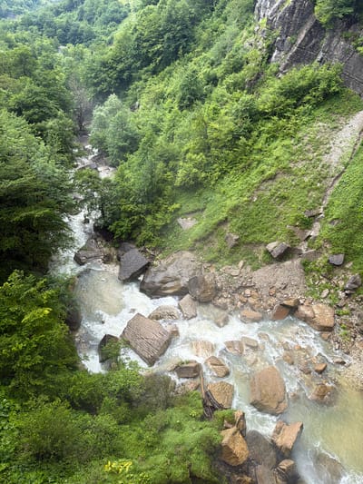 The image shows a high-angle view of a river flowing through a densely forested gorge. The river is turbulent, with white water rapids rushing over numerous large, rounded rocks of various brown and gray hues. The banks of the river are steep and covered in lush green vegetation, including trees with thick foliage and smaller plants. The gorge walls are also covered in greenery, with some exposed rock faces visible on the right side of the image, featuring geological striations. In the distance, the dense canopy of trees stretches upwards, suggesting a mountainous or hilly terrain. The overall impression is one of a wild, natural landscape. There are no people or man-made structures immediately visible in the scene, however, a small building is visible in the distance, near the tree line, indicating proximity to human settlement. The location is identified as Kinchkhaperdi, Georgia.