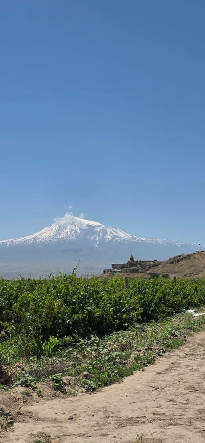 This is a vertical, medium-shot photograph taken from ground level looking towards Mount Ararat. In the foreground, lush green grapevines stretch horizontally across the frame, obscuring the lower portion of the scene. A dirt path runs along the right side of the foreground, curving slightly to the right. Behind the grapevines, on a gently sloping hill, stands the Khor Virap monastery, a historic Armenian monastic complex. The monastery is characterized by its stone structures and a distinctive conical-domed church. In the background, the majestic Mount Ararat dominates the horizon, its peak covered in snow and a plume of white smoke or cloud rising from its summit, indicating possible volcanic activity or atmospheric conditions. The sky above is a clear, vibrant blue, devoid of any clouds. The overall scene depicts a landscape of natural beauty and historical significance in Lusarat, Armenia.