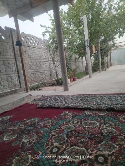 The image depicts an outdoor courtyard scene, likely in Bokhtar, Tajikistan. In the foreground, two rugs are laid out on a concrete ground. The larger rug, closer to the viewer, is a deep red with intricate floral patterns in shades of teal, black, and beige. Overlapping it is a second rug with a similar pattern, predominantly in dark green and beige.
Beyond the rugs, a concrete walkway extends into the distance, lined with evenly spaced, cylindrical support pillars. Behind these pillars, a textured concrete fence runs along the left side of the image. This fence has a decorative, carved top section and a brick-like pattern on its lower half. Adjacent to the fence, several potted plants, including some in terracotta pots, are visible.
To the right of the fence, a line of trees with lush green foliage forms a backdrop. In the middle ground, a tall, light-colored cylindrical pole stands prominently, with some items hanging from it, including what appears to be a small dark bag and a tan cloth. The sky is overcast and appears hazy. The overall impression is one of a residential or semi-private outdoor space.