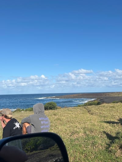Two people are seen from the window of a car. One is wearing a gray hooded sweatshirt with "Stussy tribe world wide" printed on the back in purple. The other, wearing a black t-shirt, is looking down. The foreground shows a grassy area near a cliff, and the ocean is visible in the distance. A blue sky with fluffy white clouds fills the top left of the frame. The car's side mirror takes up the right side of the view.