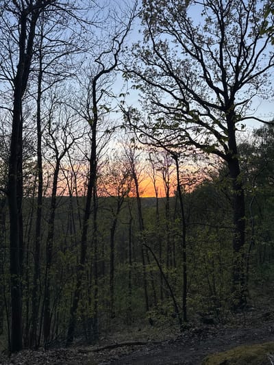 The image displays a serene forest scene captured during either sunrise or sunset, viewed from a low angle. The primary subjects are numerous trees, appearing mostly as dark silhouettes against the sky.
In the foreground and midground on the left side of the frame, intricate networks of bare branches dominate, suggesting the dormant state of winter transitioning to spring. Some trees, however, show nascent signs of life with small, light green leaves just beginning to bud. The branches crisscross against a soft, pale blue sky.
Towards the center and right side of the image, a vibrant glow from the setting or rising sun pierces through the trees. The sky transitions from a brilliant orange and reddish-pink at what appears to be the horizon line, fading into softer yellows and pale blue further up. This strong backlighting creates dramatic silhouettes of the tree trunks and branches in front of it.
Further to the right, the forest appears denser and darker, with the trees and undergrowth cast in deep shadows of green and brown, with minimal direct sunlight reaching this area. A dark, textured surface, possibly a dirt path or ground covered in leaves, is visible on the far right edge of the frame.
The overall impression is one of tranquility and natural beauty. The time of day is clearly either dawn or dusk, with the warm hues of the sun contrasting with the cool sky and shadowed forest. The presence of both bare branches and budding leaves indicates early spring. No people, objects other than trees and ground, or visible text are present in the image. The location context provided is Bures-sur-Yvette, France.