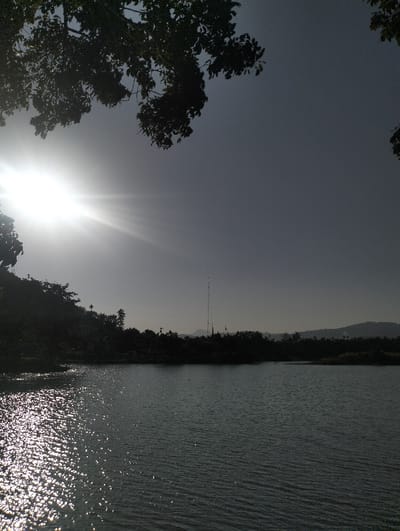 Sunlight glints off the rippled surface of a lake, framed by silhouetted foliage above. The landscape is muted, the bright sun bleaching the sky and causing dark shadows. Trees line the opposite shore, punctuated by a tall antenna structure. A distant mountain range provides a hazy backdrop. The overall effect is one of hazy brightness, with the sun as the focal point.