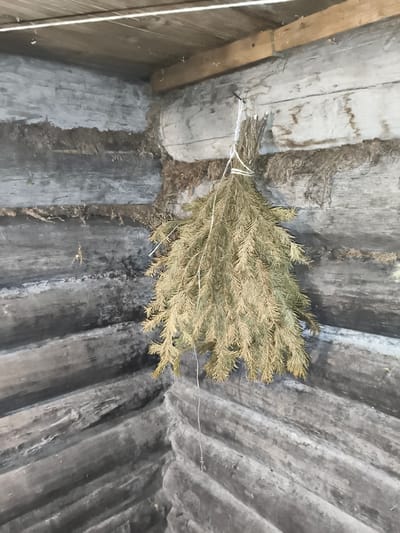 A bunch of dried evergreen branches, tied with white string, hangs from a nail in the corner of a wooden building. The walls are constructed from rough, dark-stained logs, with visible moss and debris packed between them. The ceiling is made of unfinished wooden planks. The overall impression is rustic and aged, suggesting an outdoor shed or outbuilding in a rural setting like Il'mino, Russia. There are no people or animals visible in the image.