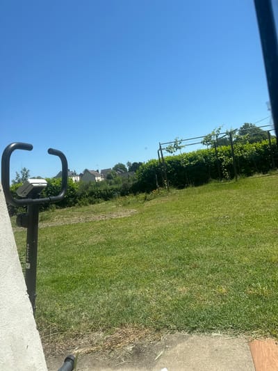 The image shows a view from what appears to be a window or balcony overlooking a lawn, with a piece of DOMYOS exercise equipment visible in the foreground. The sky is clear and blue. A vineyard structure stands adjacent to the lawn. In the distance, houses are seen. The photograph was presumably taken in Savigny-en-Véron, France.