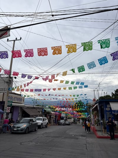 The image depicts a street scene in Tres de Mayo, Mexico, adorned with colorful papel picado banners strung across overhead wires. The banners, made of thin paper, are intricately cut with floral and geometric designs and are displayed in a variety of vibrant hues including red, orange, yellow, green, blue, and purple. These festive decorations hang in multiple rows, creating a lively canopy over the street.
The street itself is paved with asphalt and appears to be moderately busy. Several vehicles are present, including a light green sedan in the foreground and a white SUV behind it, both stopped in traffic. Further down the street, other cars are visible, as well as a few pedestrians walking on the sidewalks and crossing the street.
On the left side of the street, there are buildings with storefronts. One prominent sign reads "PALETERIA" and below it, "E. ZAPATA" and "BURGOS," indicating a local ice cream shop named Paleteria E. Zapata on Burgos street. People are seen near this establishment, some seated on a bench.
On the right side, a building with a blue facade is visible, featuring a sign with text that appears to list items like "BOTILLAS," "COPAS," "TEQUILEROS," and "ENSALADERAS." Another person is standing outside this building.
The background reveals a hilly landscape with mountains in the distance, suggesting the town is situated in a valley or near a mountainous region. The sky is overcast, with a light gray cloud cover. The overall impression is a snapshot of a typical day in a Mexican town, characterized by its vibrant cultural decorations, local commerce, and everyday life.
