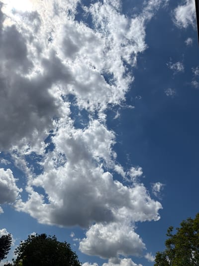 The image captures a daytime sky with scattered white cumulus clouds against a blue background. Some tree foliage is visible at the top right and bottom right corners. The image does not contain any information about people, objects, actions, interactions, or the city of Oven, Bulgaria.