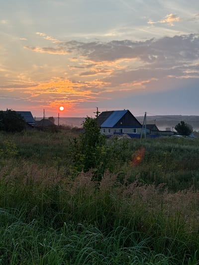 This is an outdoor, vertical, medium shot of a rural landscape at sunset in the village of Balakiy, Russia. The sun, a bright orange disc, is low in the sky, casting a warm glow on the scattered clouds which range in color from pale yellow and orange to gray. The foreground is dominated by tall, green grass and some feathery seed heads, with a dark green bush on the right. In the middle ground, there are several houses with dark roofs, some appearing to be made of wood and others with blue metal roofs. There are also utility poles and a fence. The background shows a hazy horizon line with a faint silhouette of trees. The overall impression is one of a peaceful, rustic evening.