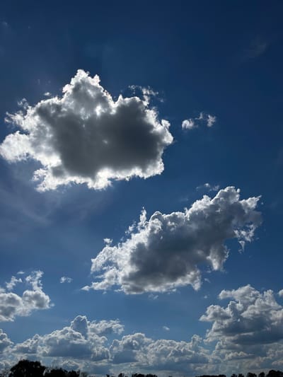 A bright blue sky with scattered clouds over a silhouetted treeline is captured in this vertical, eye-level shot. The clouds range from bright white, illuminated by the sun, to dark gray, indicating depth and texture. Some clouds show iridescent edges, suggesting the presence of rainbows. The lower portion of the image is dominated by a dark, silhouetted treeline against the lighter sky. No people, animals, or man-made structures are visible in the sky or on the ground. The location of Popasne, Ukraine is not discernible from the image.