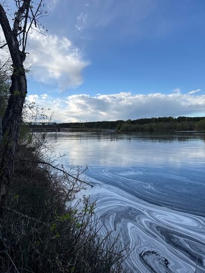 The image depicts a waterscape under a partly cloudy sky. The water surface shows a swirling pattern of light and dark colors, possibly indicating the presence of foam or a film on the water. In the background, a line of trees is visible along the horizon. In the foreground, a rough, weathered log lies among low-lying vegetation. A structure, potentially a bridge or dam, appears partially obscured by the vegetation. The image is rotated 90 degrees clockwise. The location is reported as Малая Рукавицкая, Russia.