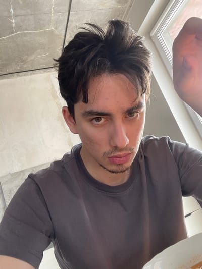 A close-up, eye-level photograph depicts a young adult male in an indoor setting within Borovoye Matyushino, Russia. The male has dark brown, slightly disheveled hair, brown eyes, and a light mustache and goatee. He wears a plain dark gray short-sleeved t-shirt. His gaze is directed forward, meeting the camera. The background to the left features a light-colored wall with a subtle pattern and a light grey ceiling. To the right, a white-framed window allows bright natural light into the room, and a partial view of what appears to be a white plate or bowl with orange residue is visible in the lower right corner. A hand is partially visible in the upper right quadrant, consistent with holding a camera for a selfie.