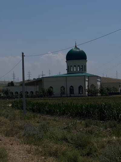 The image shows a mosque with a green dome and a green roof, situated in Karamanas, Uzbekistan. The mosque is a light-colored building with arched windows and is surrounded by a black fence. In the foreground, there is a field of tall green crops, likely corn. To the left of the mosque, a wooden utility pole stands with wires extending across the frame. In the background, several electricity pylons are visible on a hilly landscape under a hazy blue sky with scattered clouds. The overall scene depicts a rural or semi-rural setting. There are no visible people or specific actions taking place.