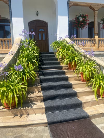 The image depicts a sunlit exterior scene featuring a set of wide, light-colored stone steps leading up to a white building with a wooden porch and double doors. Along the sides of the steps, several potted plants with vibrant green foliage and delicate purple flowers are arranged. A dark gray carpet runner covers the central portion of the steps, with a brown mat at the bottom. The building has arched windows and ornate wooden railings on the porch. Red flowers in hanging baskets are visible on the porch. The overall impression is one of a well-maintained entrance, possibly at a residential property or a public building in Filioara, Romania.