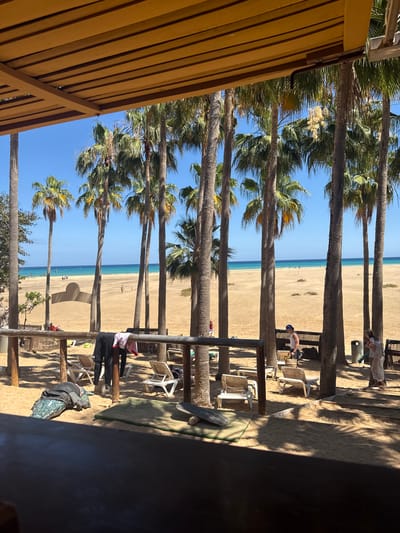 The image captures a vibrant, sunny beach scene, likely in Pájara, Spain, viewed from beneath a wooden slatted pergola or roof structure positioned in the upper left foreground. Numerous tall palm trees with lush green fronds line the sandy beach, their sturdy trunks vertically framing the expanse of the turquoise ocean and clear blue sky in the background.
Several people are visible engaging in leisure activities on the beach. In the mid-ground on the right, a person in a white top and dark pants stands near a table or counter area, possibly a beach bar, surrounded by white plastic chairs. Further to the right and closer to the foreground, another individual in a dark, wetsuit-like garment is seated on the sand beside a dark wooden or metal post, near a mat and a skateboard-like object. In the far background, several small figures are scattered along the water's edge, suggesting people walking or swimming. One person in a light-colored outfit is standing further back on the right, next to a dark trash bin.
The time of day appears to be midday or early afternoon, as evidenced by the bright sunlight casting long, distinct shadows from the palm trees and the foreground structure across the light-colored sand. The weather is clear and sunny, with a calm ocean displaying a gradient from light blue shallows to a deeper blue further out. The scene evokes a relaxed, tropical atmosphere. No visible text is discernible in the image.