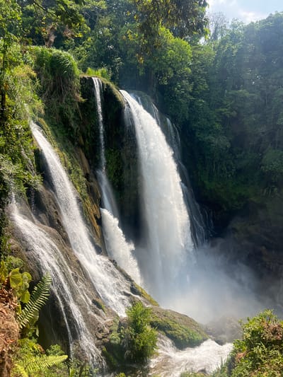 The image depicts a multi-tiered waterfall cascading down a mossy cliff face surrounded by lush vegetation. The waterfall appears to be a main feature, with its white, rushing water contrasted against the dark, green foliage. The foreground is filled with ferns and other plants, suggesting a tropical or subtropical environment. The sky is partially visible in the upper left corner, suggesting a bright, sunny day.
The image is likely taken at Pulhapanzak Waterfalls in San Francisco de Yojoa, Honduras, based on the waterfall's appearance and the surrounding vegetation.