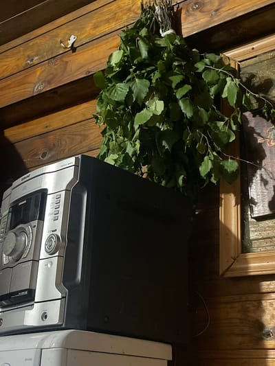 In an interior scene in Mirnyy, Russia, a bundle of green leafy branches is suspended from a white hook on a wooden wall. To the left of the branches, a silver and black stereo system is placed on top of a white appliance. The stereo system has a CD player and various buttons and knobs. A framed picture hangs on the wooden wall to the right of the branches. The wooden wall appears to be part of a rustic structure.