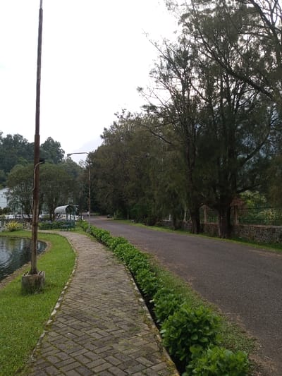 This image depicts an outdoor environment in Ambositra, Madagascar, under an overcast sky. A light gray, herringbone-patterned paved pathway occupies the left foreground, bordered by green grass. To the immediate left of the pathway, a dark body of water is present. A tall, vertical, rust-colored metal pole stands at the water's edge in the far-left foreground. Further along the pathway, a dark street lamp pole with a curved arm is visible.

In the mid-ground, across the water, a complex of white buildings is partially visible, featuring a structure with a prominent arched, silver-colored canopy under which green benches are situated. Densely forested hills rise in the distant background on the left.

To the right of the paved pathway, a narrow strip of grass separates the path from a neat, continuous row of low, bushy green plants. Adjacent to these plants, a dark asphalt road extends into the distance, curving slightly to the right. A prominent line of tall, slender evergreen trees with dark green foliage borders the right side of the road. Sections of a low stone wall are visible intermittently behind these trees. A few indistinct vehicles appear on the distant road. The sky is uniformly light gray. No individuals are clearly discernible within the scene.