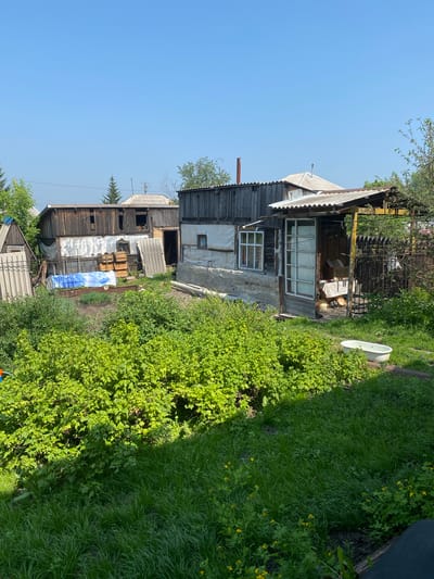 The image depicts a backyard scene in Gramoteino, Russia, on a clear, sunny day. The foreground is dominated by lush green grass and dense foliage, suggesting a natural or overgrown garden area. In the middle ground, a series of weathered wooden structures are visible, appearing to be sheds or outbuildings. These structures show signs of age and disrepair, with corrugated metal roofing and wooden siding. One building has a covered porch area with a table and boxes. A white bathtub is placed on the grass near the structures. In the background, the sky is a clear, bright blue, with a few trees visible on the horizon. The overall impression is one of a rural or semi-rural setting.