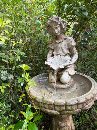 The image shows a close-up of a garden fountain featuring a statue of a cherub or angel. The statue is made of weathered, light-colored stone, with some green moss and discoloration indicating age and exposure to the elements. The cherub is depicted with flowing hair and drapery, holding its hands near its face. Water is actively flowing from what appears to be a flower held by the statue into the basin of the fountain. The fountain basin is also made of stone and is partially filled with water.
The fountain is situated outdoors, surrounded by dense green foliage and branches. Small red berries or flowers are visible scattered within the greenery. The lighting suggests it is daytime, possibly overcast, as there are no harsh shadows. The overall impression is one of a tranquil, slightly overgrown garden setting. The image is oriented sideways, with the statue appearing to lean into the frame.
No text is visible in the image. The scene evokes a sense of peacefulness and natural beauty, with the running water adding a dynamic element to the static sculpture and surrounding vegetation. The location context is Foz do Iguaçu, Brazil, which implies a tropical or subtropical climate, consistent with the lush greenery shown.
