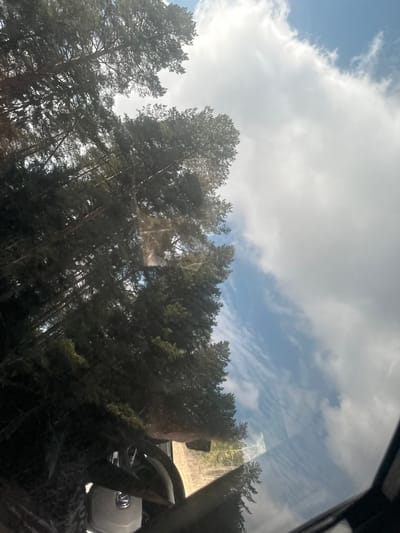 The image, taken from inside a vehicle, shows a view through the windshield of a forest and sky. The trees are primarily coniferous, with tall, thin trunks reaching upwards. The sky is partially obscured by white, puffy clouds, revealing patches of blue. The reflection of the car's interior is visible on the windshield, including parts of the dashboard, steering wheel, and the driver's face. There are no specific landmarks or details to identify the location definitively as Zabegalovo, Russia. The environment is rural, suggested by the forest. There is no indication of the city of Zabegalovo.