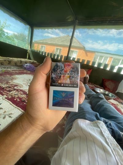 A person's left hand holds a pack of Parliament Aqua Blue cigarettes. The cigarette pack is white with blue and gold accents, featuring a graphic of lungs on the front with Russian text. The hand is positioned in the foreground, with the pack angled towards the camera. In the background, a person's legs are visible, clad in blue jeans, with a metallic bowl resting on their lap. The scene appears to be set outdoors, possibly on a patio or porch, with a patterned rug visible on the ground. Beyond the immediate area, a brick house with windows and a roof is discernible, with a blue sky with scattered clouds overhead. The overall environment suggests a relaxed, casual setting.