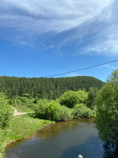 The image depicts a serene natural landscape with a river in the foreground. The water is dark and reflects the surrounding greenery. The riverbanks are covered in lush green grass and various types of trees and bushes. In the middle ground, there is a dirt road winding through the vegetation. Beyond this, a dense forest covers a hillside that slopes upwards. The sky above is a clear blue, dotted with wispy white clouds. Overhead, two dark power lines stretch across the frame. The scene appears to be a rural or natural setting, possibly in the city of Bolshoy Lug, Russia, given the context provided. There are no people or animals visible in the image. The overall impression is one of tranquility and untouched nature.