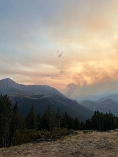 This image depicts a vast mountain landscape with a dramatic sky. In the foreground, dry, golden grass and scattered rocks cover a gently sloping hill. A dense line of dark green pine trees runs across the middle ground, forming a stark contrast with the lighter terrain. Behind the trees, layers of mountains recede into the distance, their peaks shrouded in a misty haze. The sky is a blend of soft blues, pale oranges, and smoky grays, with clouds tinged by the setting or rising sun. Notably, a plume of smoke is visible rising from the middle ground, suggesting a potential fire in the mountain range. The overall impression is one of rugged natural beauty, tinged with a sense of wildness and the potential impact of natural forces. This scene is consistent with the mountainous terrain surrounding San Juan de Plan, Spain, a village located in the Pyrenees, an area known for its natural parks and forest areas.