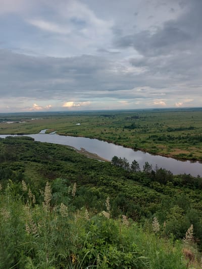 This is a high-angle, full shot of a wide, slow-moving river flowing through a vast, flat, green landscape under a cloudy sky. The foreground features tall, wispy grasses and a dense cluster of green bushes and trees. The river dominates the middle ground, reflecting the muted sky. Beyond the river, the landscape is a tapestry of green fields, interspersed with small clusters of trees and occasional bodies of water. The horizon is flat and extends to where the land meets the sky, which is filled with a mixture of gray and white clouds. The scene appears to be in Shirokii Log, Russia, a rural area with expansive natural terrain. There are no people or animals visible in the image.
