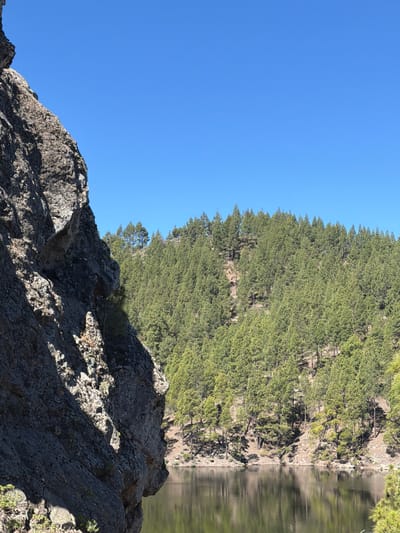 This image depicts a serene natural landscape in the vicinity of Tejeda, Spain, characterized by a large, imposing rock formation in the foreground. The rock face, textured and rugged, occupies the left side of the frame and casts a distinct shadow. Beyond the rock, a calm body of water reflects the clear blue sky and the dense, green pine forest that blankets the opposite hillside. The forest extends upwards, creating a verdant backdrop against the bright sky. The scene conveys a sense of natural tranquility and untouched wilderness. There are no people or animals visible in the image, and no human-made structures are apparent.