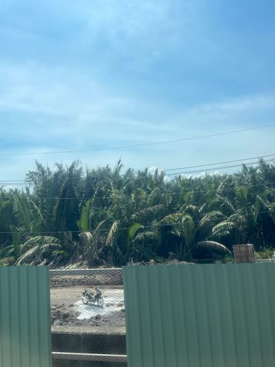 In Dong Nai City, Vietnam, a motorcycle is parked on a muddy construction site. The motorcycle, a dark color, is positioned in the center of the frame, facing left. It appears to be stationary. The surrounding area is characterized by dark, wet soil with patches of white material, possibly cement or plaster. The site is partially obscured by a green corrugated metal fence in the foreground and a mesh fence behind it. Beyond the construction site, a dense grove of palm trees stretches across the background under a clear blue sky with scattered white clouds. Power lines are visible horizontally across the upper portion of the palm trees.