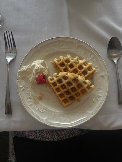 A top-down view depicts a meal presented on an ornate white ceramic plate with a gold rim, situated on a plain white tablecloth. The plate contains two golden-brown, grid-patterned waffles, coated in clear, golden syrup. A dollop of white whipped cream, partially embedding a single red raspberry, rests to the left of the waffles. Drips of syrup are visible on the plate's surface. A silver metal fork is positioned to the left of the plate, and a matching silver metal spoon is to its right. Below the white tablecloth, a patterned fabric featuring dark green, red, pink, and white floral or paisley motifs is partially visible. The image provides no specific details to determine the precise location within the city of Montgomery, United States.