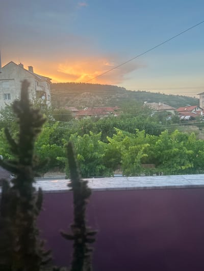 The image depicts a sunset view from a building in Boboshevo, Bulgaria. In the foreground, the out-of-focus silhouettes of two cacti are visible against a purple wall. Beyond the cacti, a stone ledge separates the foreground from a dense green foliage. In the middle ground, a row of houses with red-tiled roofs are nestled amongst lush trees. Further in the background, a layered landscape of hills rises, the upper slopes of which are covered in trees. The sky above is a gradient of soft blue and warm orange hues, illuminated by the setting sun, with a thin power line crossing the scene horizontally.