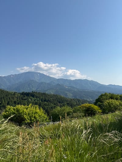 A photograph depicting a mountain range and clear blue sky, with vegetation in the foreground. The mountains are distant and somewhat obscured by haze, with a few clouds. The foreground shows a mix of green trees and tall grass. The image orientation is vertical. The location is Nakatsugawa, Japan.