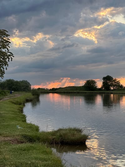 The image presents a serene landscape captured during either sunrise or sunset in Doganovo, Bulgaria. The scene is dominated by a body of water, likely a lake or wide river, which reflects the dramatic sky above.
The sky, particularly on the left side, features heavy, dark-grey clouds. Through a V-shaped opening and other gaps in these clouds, brilliant golden and orange sunlight streams down, creating striking crepuscular rays. These warm tones also color broader patches of clouds, tinging them with soft pinks and oranges.
The calm surface of the water beautifully mirrors the sky's colors and light, showing shimmering patterns of golden and orange reflections. On the far bank, across the water, a line of trees and distant land are silhouetted against the bright horizon, their shapes also duplicated in the water's surface.
The right side of the foreground is characterized by a lush, green grassy bank extending into the distance, providing a textured contrast to the smooth water. A small, indistinct blue object, possibly a bag or container, is visible nestled within the grass near the water's edge. Part of a tree with lighter, more sparse foliage can be seen in the bottom-left corner of the image.
The scene is peaceful and devoid of human presence or specific activities. The interplay of light, clouds, and water creates a tranquil and awe-inspiring natural vista. There is no visible text in the image.